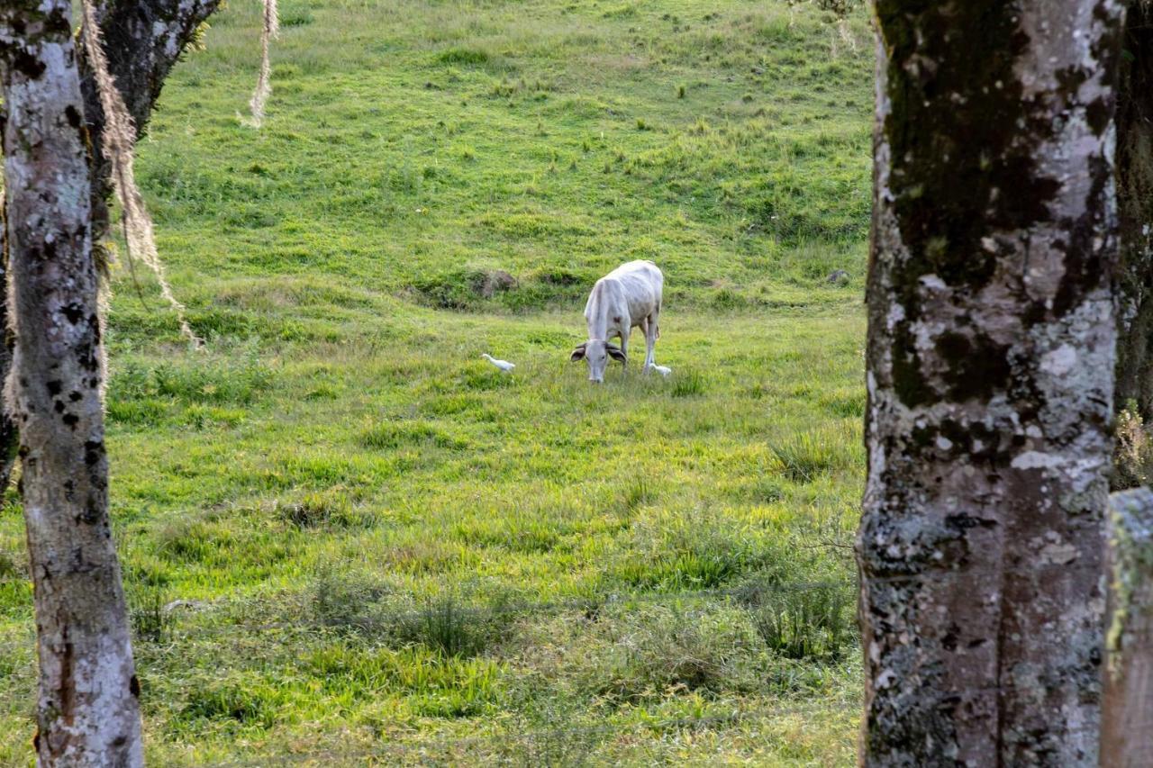 Willa Locar-In Gramado - Chacara Bela Vista Zewnętrze zdjęcie